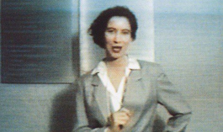 questions and art Q&Art Andrea Fraser What is an artist?