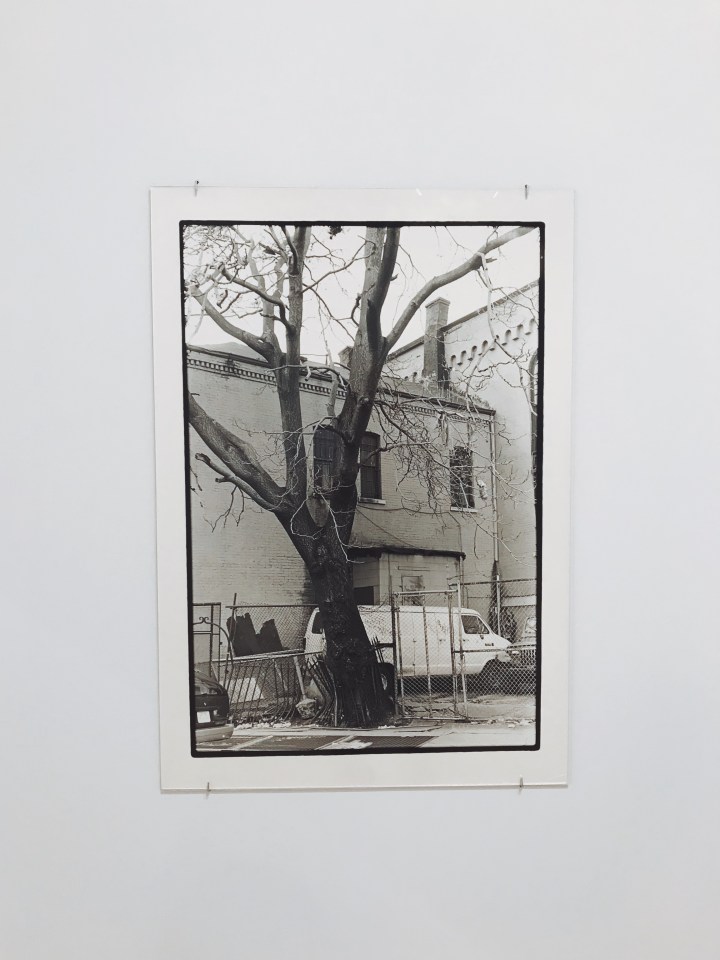 Questionsandart questionsandart QuestionsandArt Q&Art qandart q&art Questions and Art questions and art