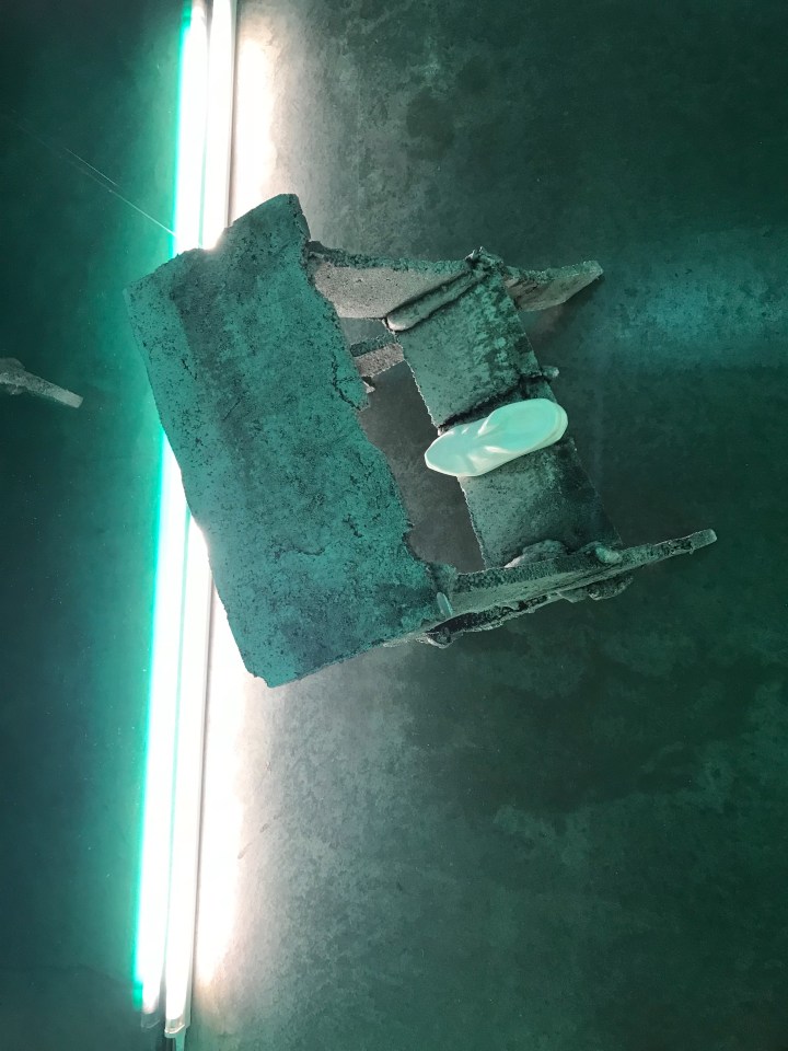 6375DA18-9856-433E-B4DD-21B810871128