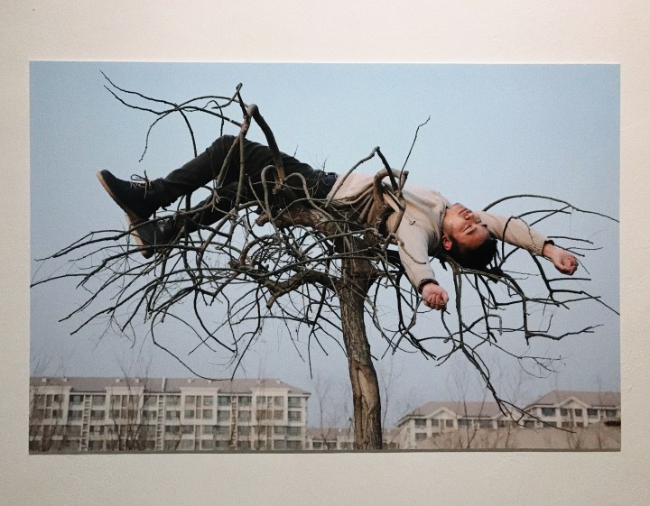 Land_Zhang_Huan_and_Li Binyuan_MoMAPS1_Q&Art