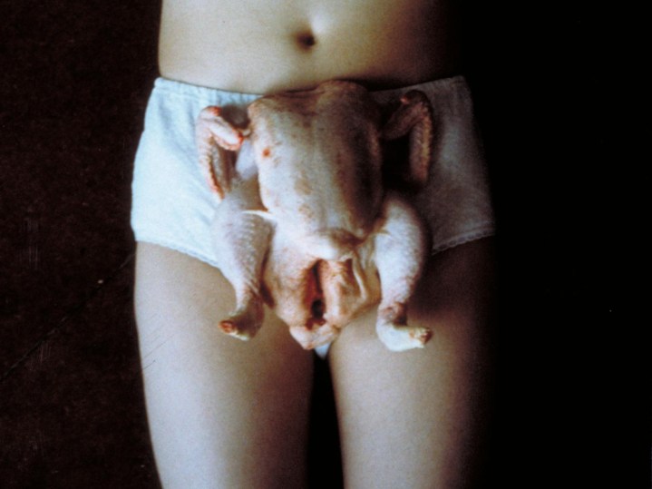 Chicken Knickers 1997 by Sarah Lucas born 1962