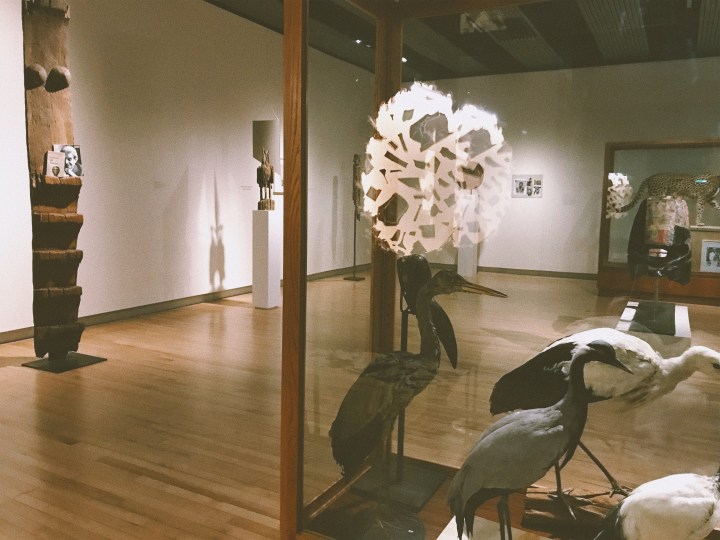 Processed with VSCO with av8 preset