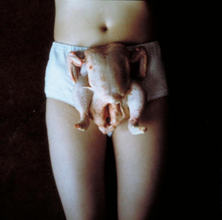 Chicken Knickers 1997 by Sarah Lucas born 1962